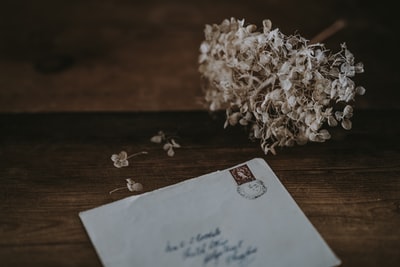 白色花瓣花朵旁的白色邮寄信封